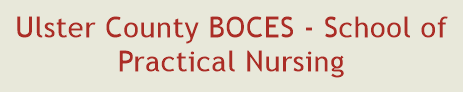 Ulster County BOCES - School of Practical Nursing